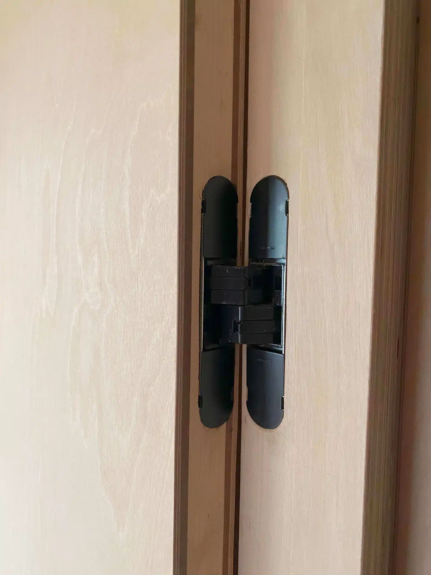 Birch plywood door with black hidden hinges