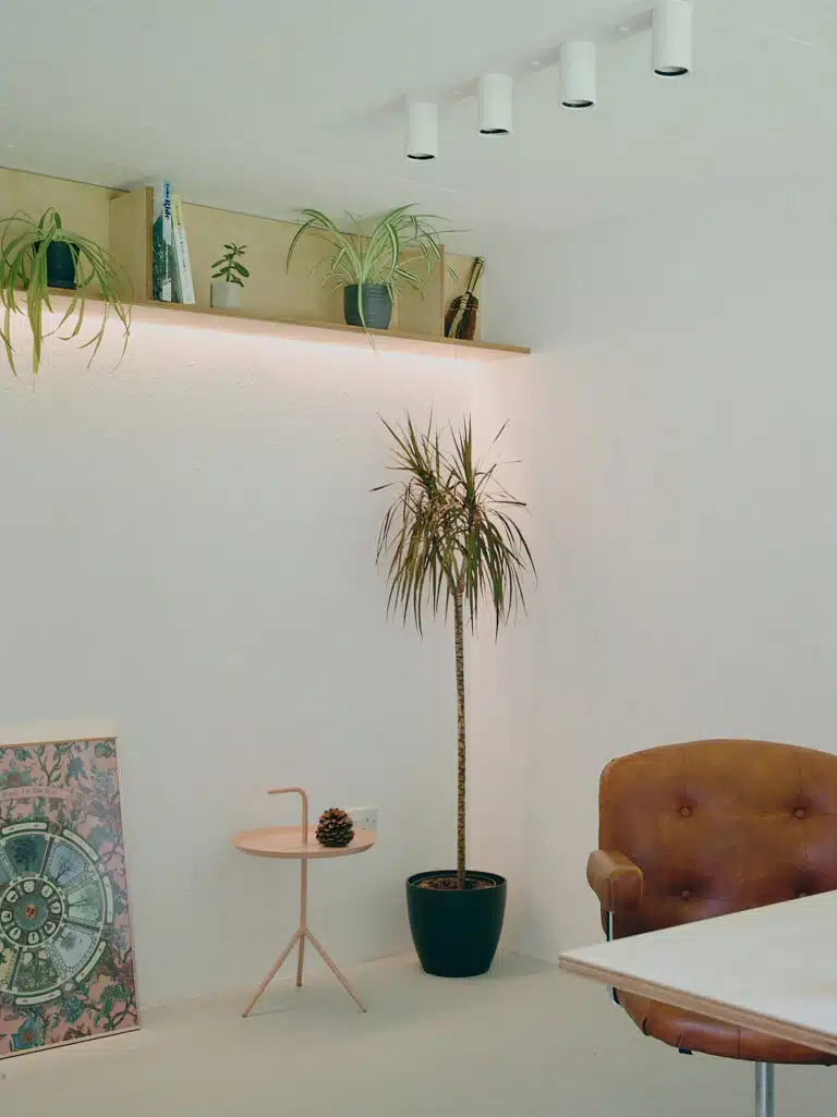 North studio interior showing back lit shelf